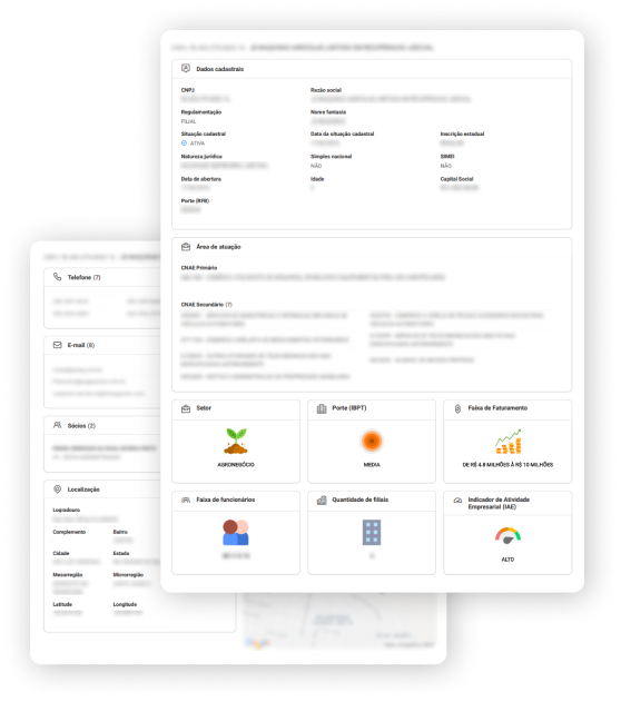 Imagem apresentando o resultado da Consulta CNPJ no Empresômetro Digital.