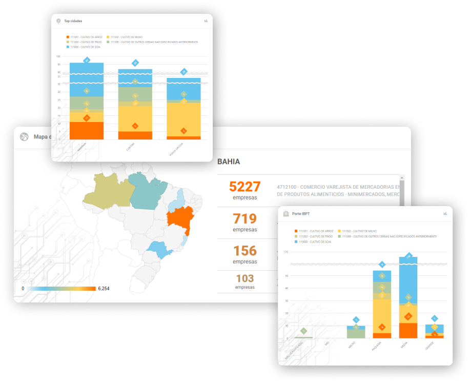 Imagem apresentando os gráficos de Mapa, Porte e Top Cidades da solução de Mapeamento de Mercado do Empresômetro Digital.
